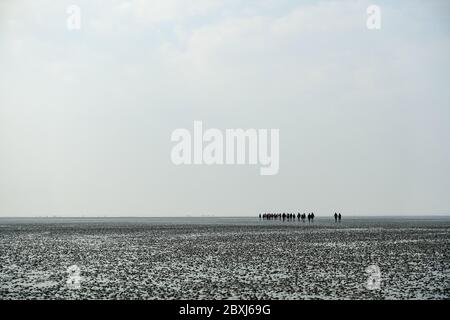 Escursioni a piedi su terreni fangati (Wadlopen, Wattwandern, Vadehavsvandring) tra i Paesi Bassi continentali (Frisia) e l'isola di Ameland Foto Stock