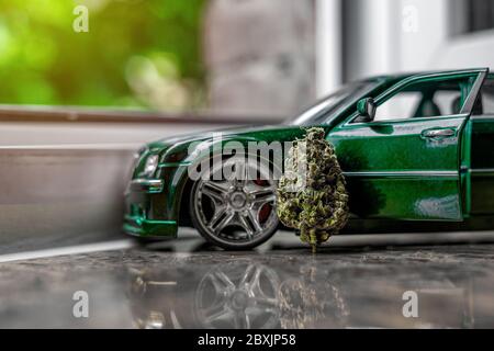 Germoglio di marijuana secco in trichomes, ricco di cannabinoidi. Biscotti scout dettagliati per bambina di cannabis e un piccolo modello di auto. Scatto creativo Foto Stock