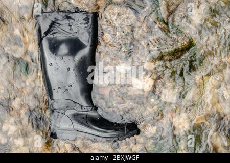 Gli stivali di gomma nera si trovano nell'acqua di un torrente su pietre gialle. Foto Stock