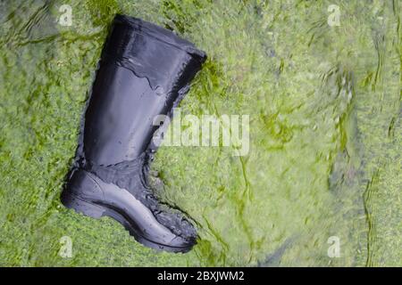 Gli stivali di gomma nera giacciono nel ruscello sul muschio verde. Foto Stock