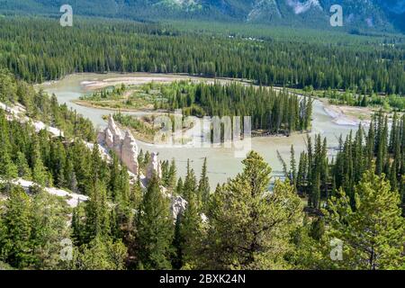 Meandro di Bow River - Banff NP, Alberta, Canada Foto Stock