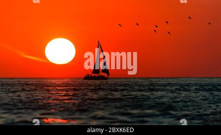 Una barca a vela è navigare lungo l'oceano al tramonto con Flying Birds impostato contro un cielo rosso tramonto Foto Stock