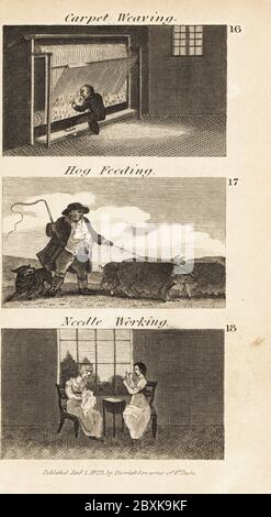 Commerci in Regency Inghilterra. Tessitore di tappeto ad un telaio in Wilton 16, allevatore di maiale che alimenta i cani in Hampshire 17, e donne che lavorano a maglia e ricamo con aghi fatti in Chichester 18. Incisione su legno delle scene della British Wealth di Isaac Taylor, in produzione, produzione e commercio, John Harris, Londra, 1823. Isaac Taylor è stato uno scrittore, artista, incisore e inventore inglese 1787-1865. Foto Stock