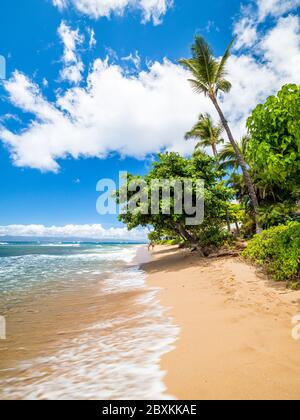 Kaanapali Beach, Maui, Hawaii, tre miglia di sabbia bianca e acqua cristallina Foto Stock