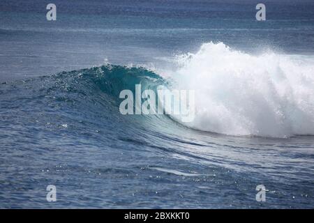 Un'onda si rompe senza guida su una barriera corallina poco profonda nelle Isole Mentawai - Indonesia. Queste isole tropicali sono una popolare destinazione per il surf. Foto Stock