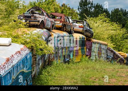 Cimitero degli autobus scolastici in Alto, Georgia, ai piedi delle montagne della Georgia settentrionale. (STATI UNITI) Foto Stock