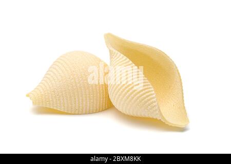 due pezzi di pasta rigata conchiglie isolati su bianco Foto Stock