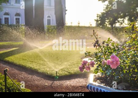 Giornata di sole e irrigatori a Giardino d'Estate, San Pietroburgo con fiori in aiuole Foto Stock