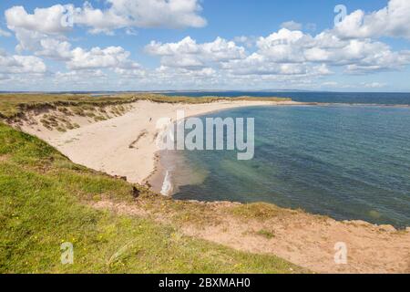 Spiaggia di sabbia bianca e mare blu, Lindisfarne - Isola Santa - Northumberland Foto Stock