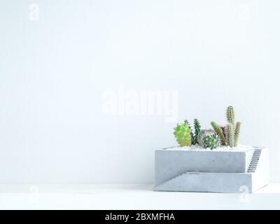 Molti tipi di piante di cactus verdi piccole in pentola quadrata del giardino di cemento su mensola su sfondo bianco con lo spazio di copia. Foto Stock