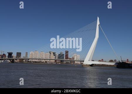 Ponte bianco erasmusbrug sul fiume Nieuwe Maas nel centro di Rotterdam, nelle Nehterlands Foto Stock