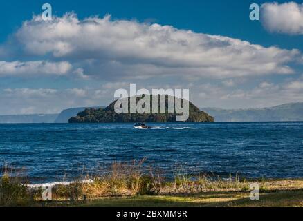 Isola di Motutaiko al Lago Taupo, Plateau Centrale, Regione di Waikato, Isola del Nord, Nuova Zelanda Foto Stock