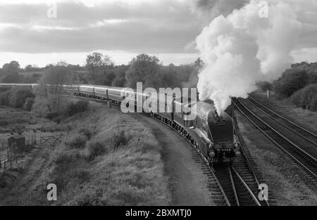 LOCOMOTIVA LNER Classe A4 'allard' in avvicinamento alla stazione di Hatton che traina il treno Shakespeare Limited, Warwickshire, Inghilterra, Regno Unito. 12 ottobre 1986. Foto Stock