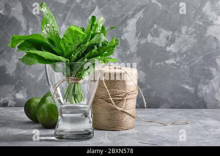 Un mazzo di sorbetto fresco in un vaso d'acqua su sfondo grigio, primo piano. Copie dello spazio Foto Stock