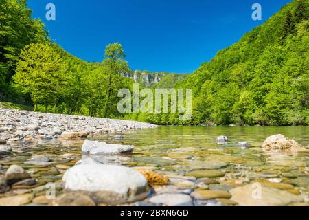 Croazia, bellissimo paesaggio verde natura in primavera, canyon del fiume Kupa nel Gorski kotar Foto Stock