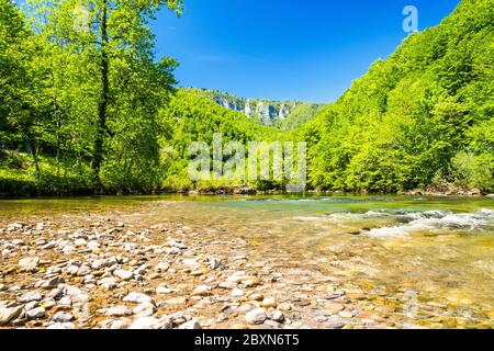 Croazia, bellissimo paesaggio verde natura in primavera, canyon del fiume Kupa nel Gorski kotar Foto Stock