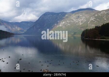 Mattina nebbia sul lago di Bohinj nel parco nazionale del Triglav, Slovenia, Alpi, Europa Foto Stock