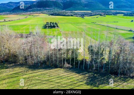 Fattoria di cereali in pianura e letto di fiume con alberi di pioppo. Foto Stock