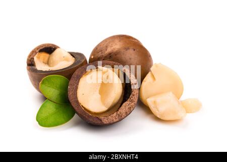 Noci di macadamia Inshell con foglie isolate su sfondo bianco. Foto Stock