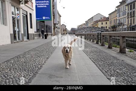 Il centro desertico della città con la Cattedrale del Duomo durante il blocco dovuto all'emergenza Covid-19, a Milano. Foto Stock