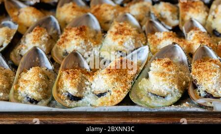 Cozze cotte con parmigiano, pangrattato e burro di erbe. Cibo di fondo. Cucina mediterranea. Concetto per un pasto gustoso e sano. Primo piano. Foto Stock