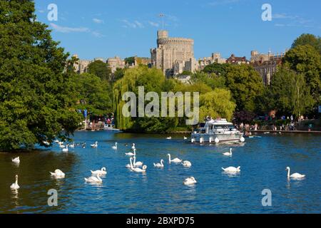 Il Tamigi e il Castello di Windsor, Windsor, Berkshire, Inghilterra, Regno Unito, Europa Foto Stock