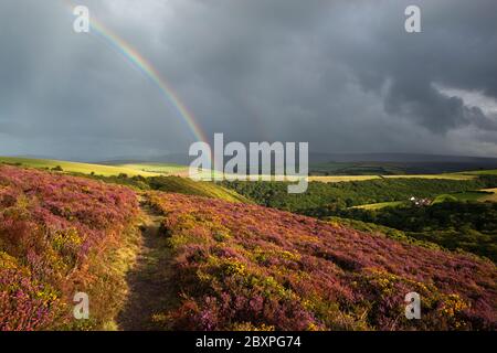 Rainbow Over Heather rivestito Moorland guardando verso Dunkery Beacon, Exmoor National Park, Somerset, Inghilterra, Regno Unito