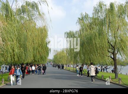 Lago occidentale di Hangzhou, provincia di Zhejiang, Cina. Persone che camminano sulla strada rialzata di Baidi attraverso il Lago Ovest sotto alberi di salice. Foto Stock