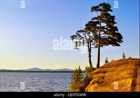 Vista panoramica estiva, paesaggio di alberi di pino ad alta diffusione sulla scogliera del lago Irtyash a sud Urals, Russia - paesaggio estivo nella soleggiata weath Foto Stock