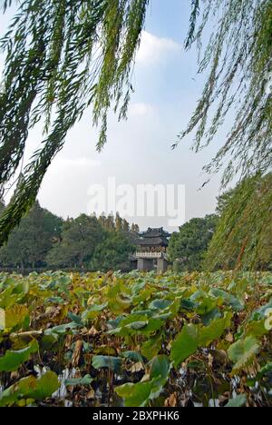 Lago occidentale (Xi Hu) a Hangzhou, provincia di Zhejiang, Cina. Ponte Yudai sul Lago Ovest, uno dei famosi simboli della città di Hangzhou. Foto Stock