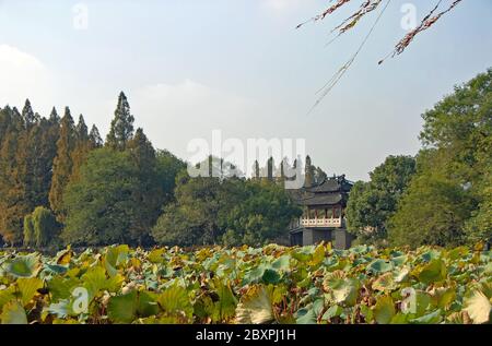 Lago occidentale (Xi Hu) a Hangzhou, provincia di Zhejiang, Cina. Ponte Yudai sul Lago Ovest, uno dei famosi simboli della città di Hangzhou. Foto Stock