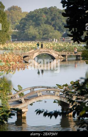 Lago occidentale (Xi Hu) a Hangzhou, provincia di Zhejiang, Cina. Vista del Giardino di Quyuan, un punto panoramico di Hangzhou sul bordo del Lago Ovest Foto Stock