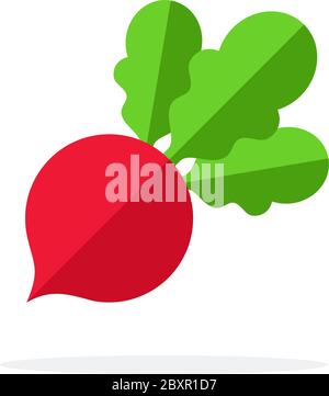 Beet vettore disegno di materiale piano oggetto isolato su sfondo bianco. Illustrazione Vettoriale