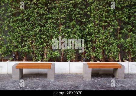 Coppia di banchi distanziatori vuoti davanti a piante di siepe verde in un parco Foto Stock