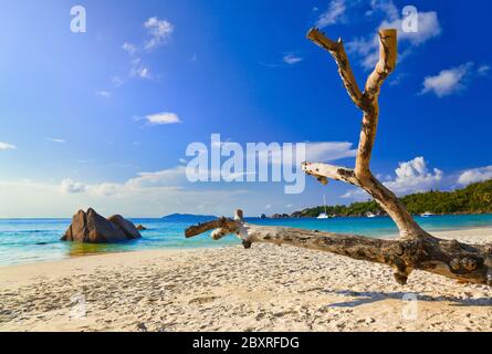 Spiaggia di Anse Lazio a Isola di Praslin, Seicelle Foto Stock