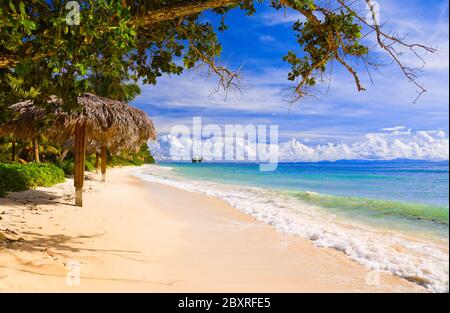 Tropical Beach a isola La Digue, Seicelle Foto Stock