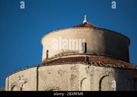 Particolare della chiesa medievale, la chiesa di San Donato a Zara, il più grande edificio pre-romanico in Croazia. Foto Stock