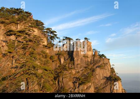 Monte Huangshan nella provincia di Anhui, Cina. Vista all'alba vicino alla Stone Monkey guardando il punto panoramico del mare con scogliere rocciose e pini. Foto Stock