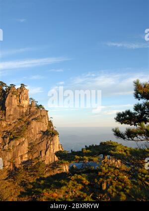 Monte Huangshan nella provincia di Anhui, Cina. Vista all'alba vicino alla Stone Monkey guardando il punto panoramico del mare con scogliere rocciose e pini. Foto Stock