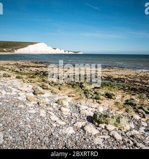 Le sette Sorelle bianche scogliere di gesso, Sussex, Inghilterra. Una vista lungo la costa rocciosa del Sussex che guarda verso il canale Inglese. Foto Stock