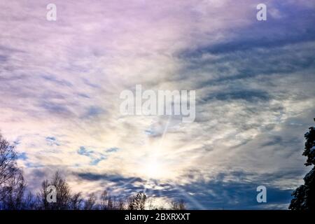 Nuvole di cirrus insolitamente illuminate su una foresta invernale. Tramonto sulla foresta Foto Stock