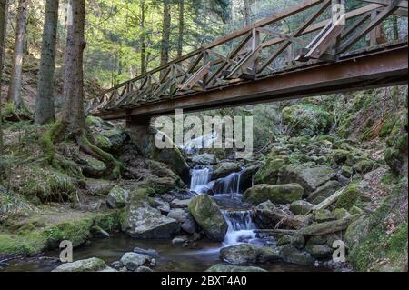 La Gola di Ravenna nella Foresta Nera è una stretta e ripida valle laterale della Valle Höllen, attraverso la quale scorre il torrente Ravenna. Foto Stock