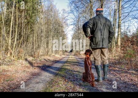 Un uomo anziano si trova su un percorso forestale apparentemente infinito, il suo bel cane irlandese Setter si siede accanto a lui. Entrambi godono i primi giorni di primavera nel fo Foto Stock