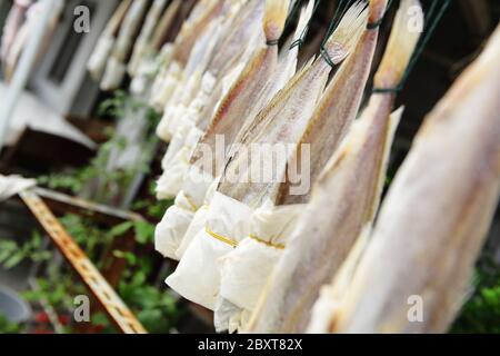 sale pesce essiccato Foto Stock