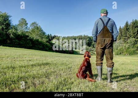 In una giornata di sole a maggio, un contadino si erge con il suo cane da caccia Irish Setter sul prato falciato e entrambi guardano verso la valle. Foto Stock