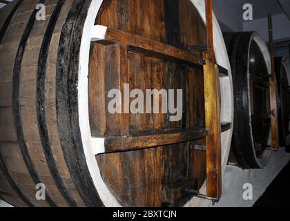 File di barili di alcool in un magazzino di una fabbrica per la produzione di cognac, whisky, vino, brandy. Foto Stock