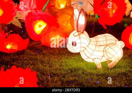 Lanterna di coniglio per la festa cinese di metà autunno Foto stock - Alamy