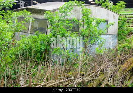 La natura rivendica un abbandonato delitto disusato caravan d'epoca, Regno Unito Foto Stock