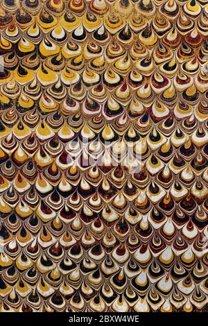 Carta da disegno usata in un libro del 1890 Foto Stock