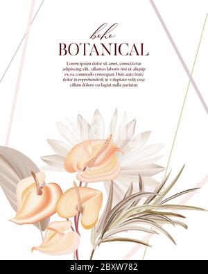 Pianta bohemien: pampas, palma essiccata, orchidea, calla fiori vettore realistici. Moderno design boho erbe, modello di scheda di nozze. Illustrazione Vettoriale